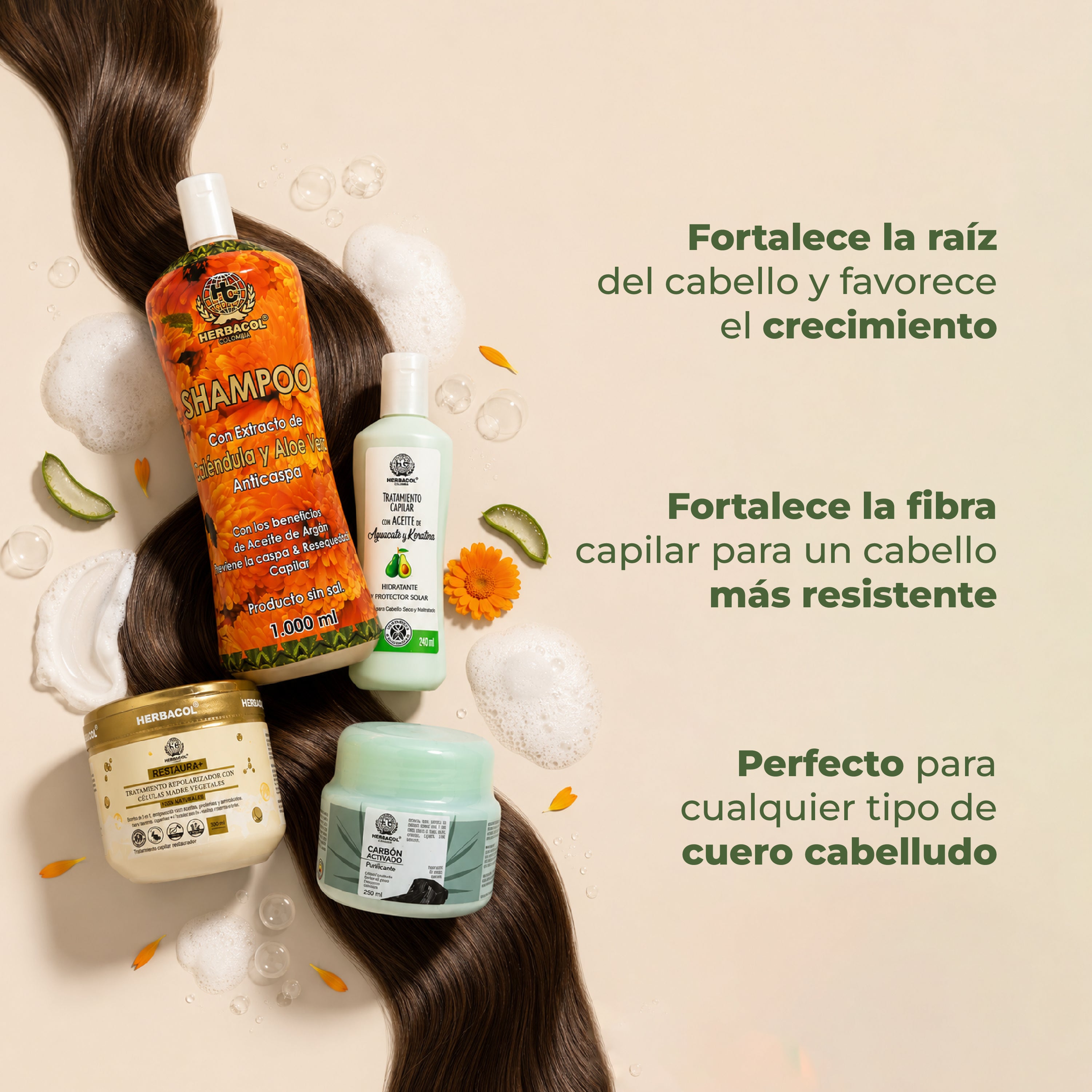 KIT RESEQUEDAD CAPILAR