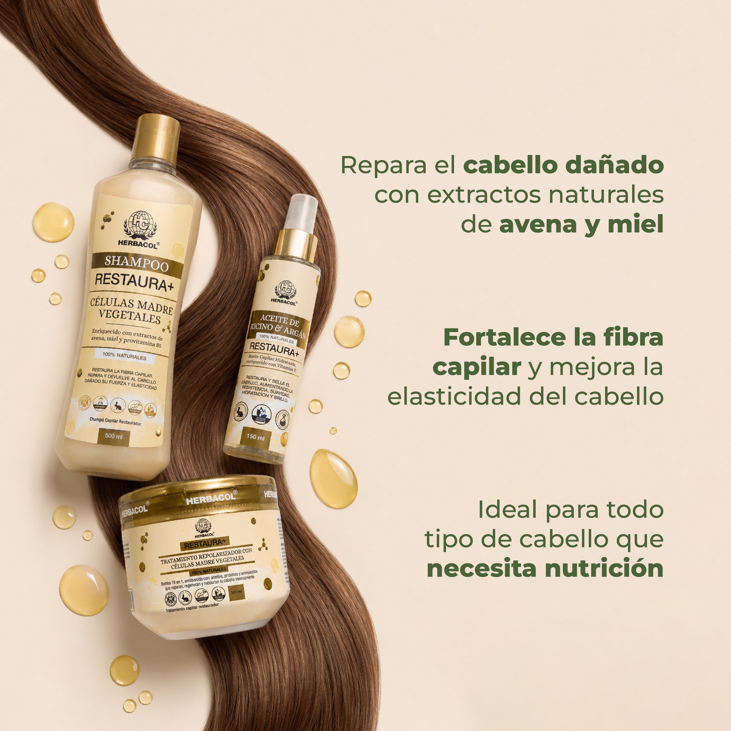 KIT RESTAURA+