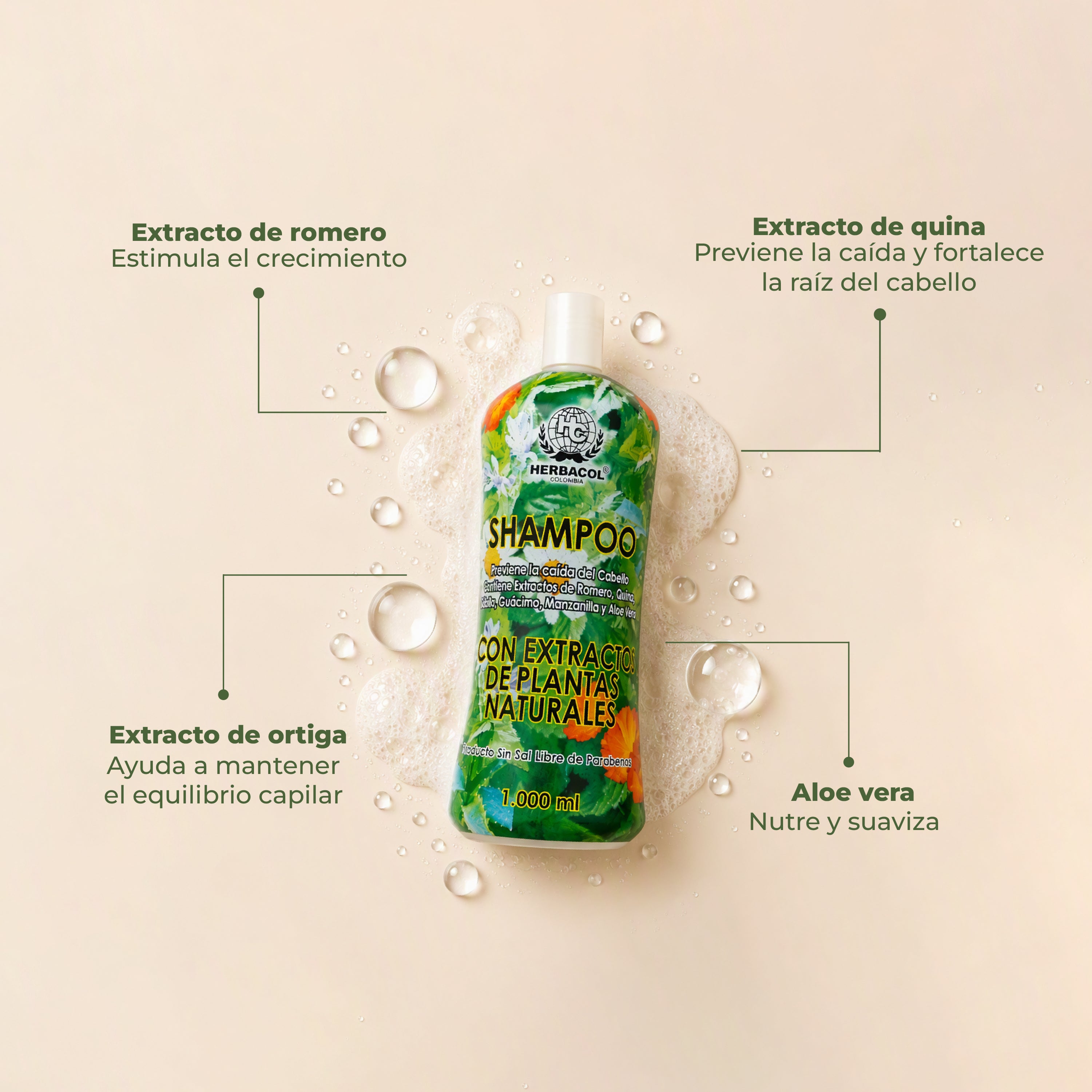 KIT REVITALIZACIÓN CAPILAR
