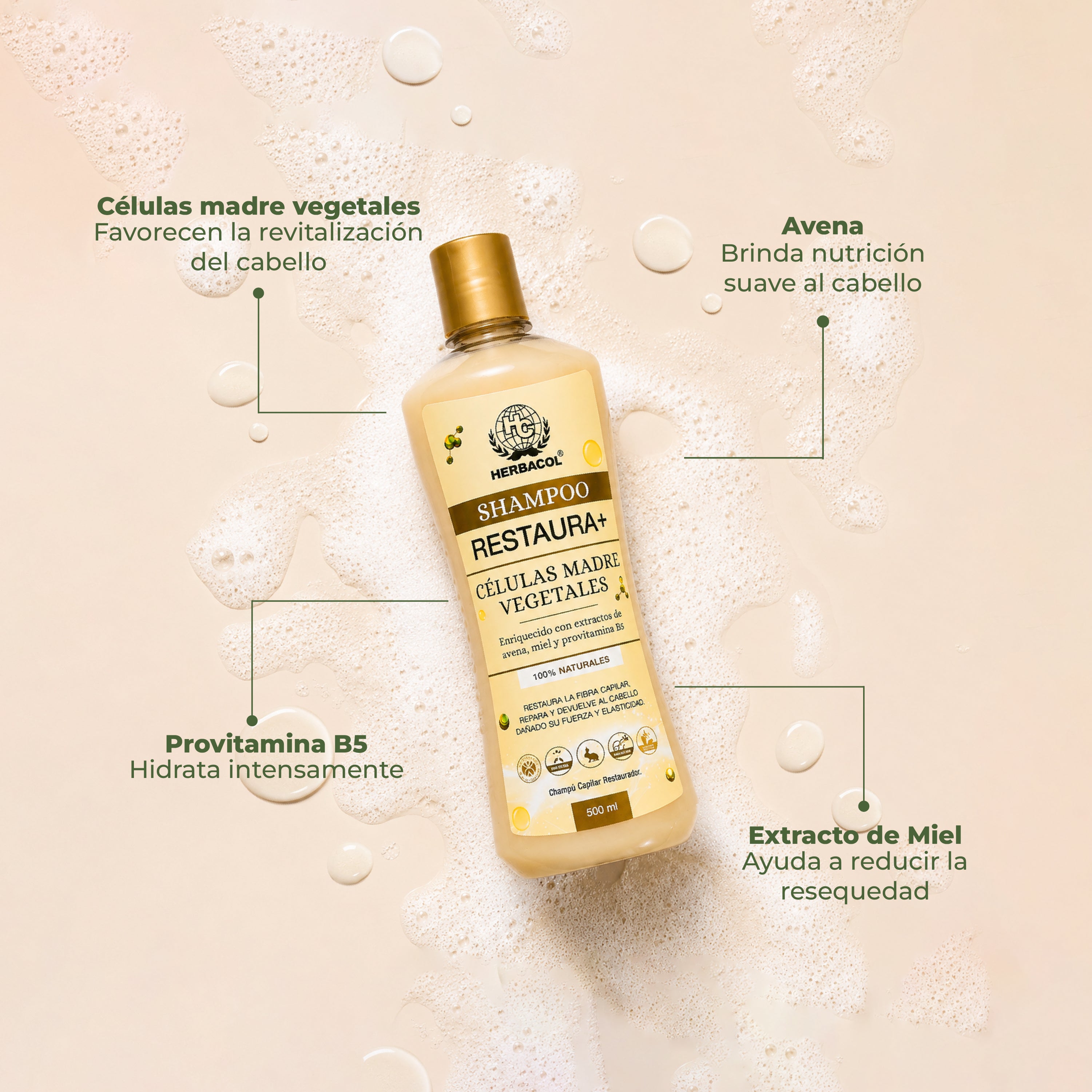 SHAMPOO CON CÉLULAS MADRE RESTAURA+