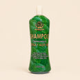 SHAMPOO DE ORTIGA Y ALOE VERA