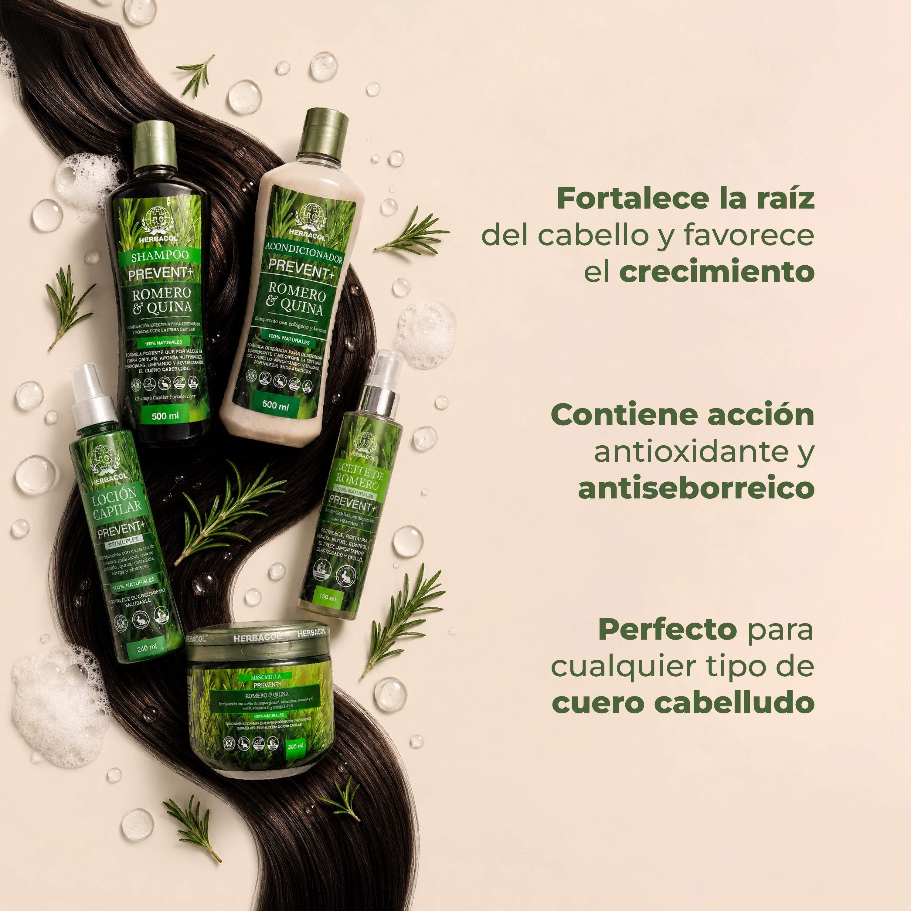 KIT CONTROL CAÍDA PREVENT+ ROMERO Y QUINA