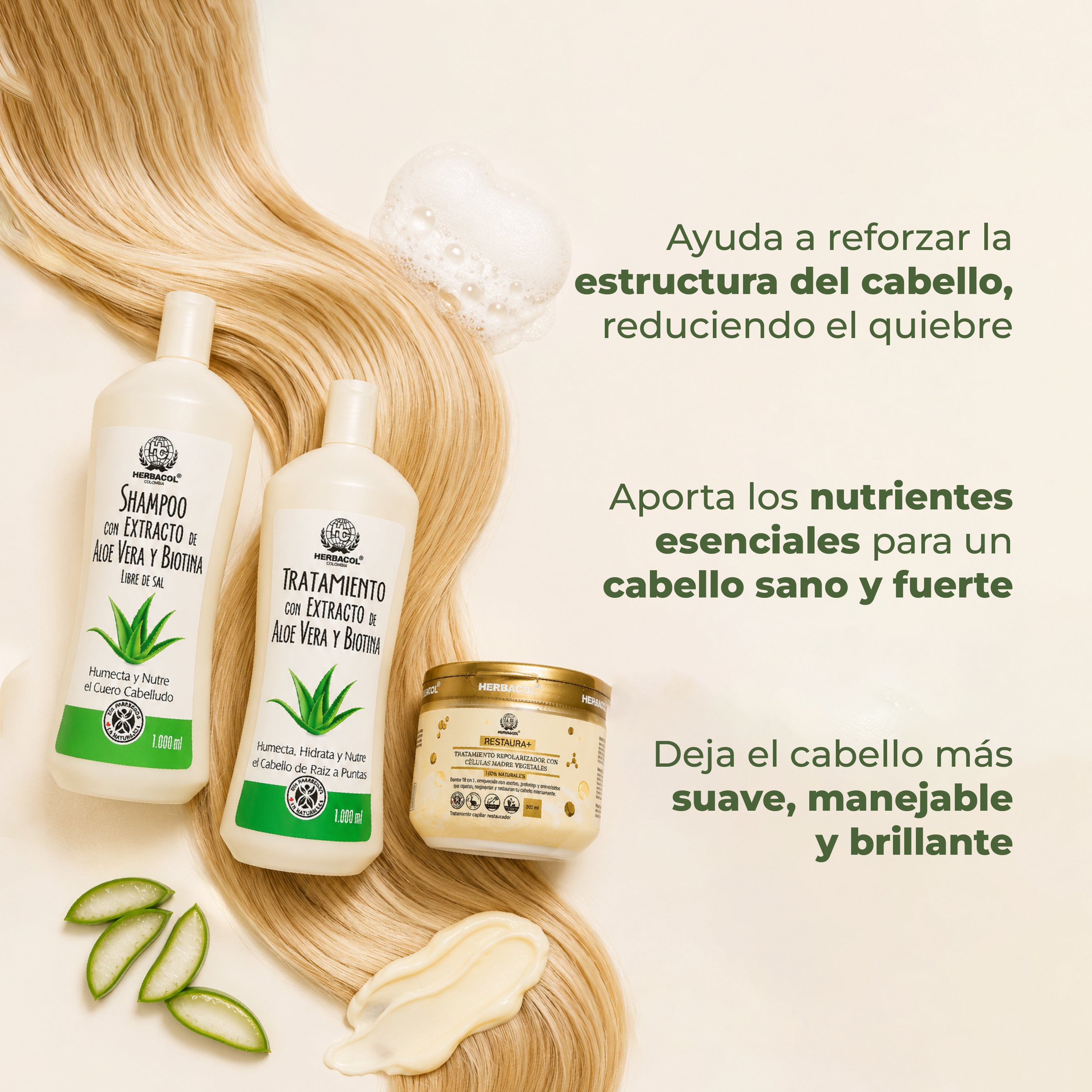 KIT NUTRICIÓN CAPILAR