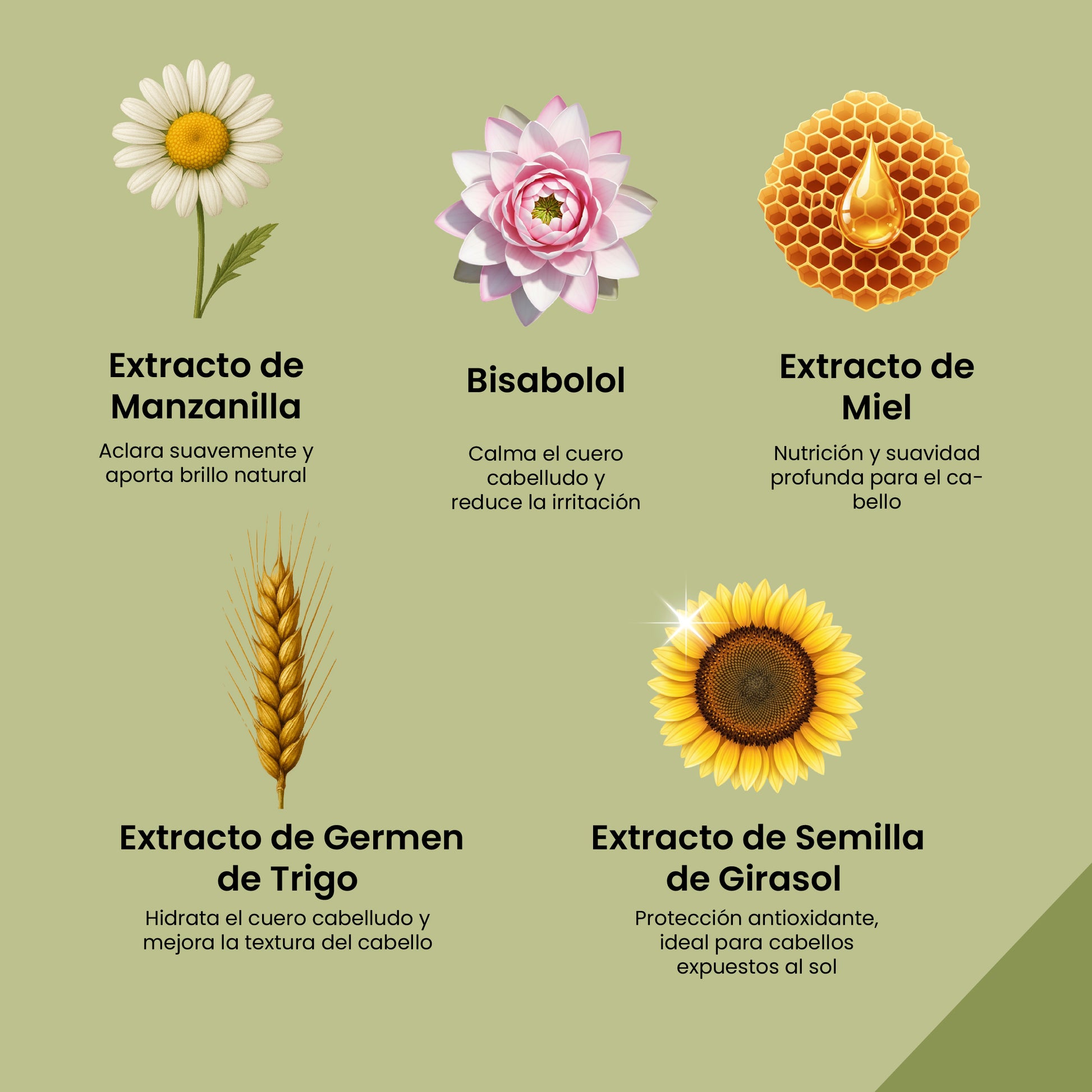 SHAMPOO MANZANILLA ACLARADOR